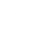 AvengeAngel - Постачальник FPV обладнання