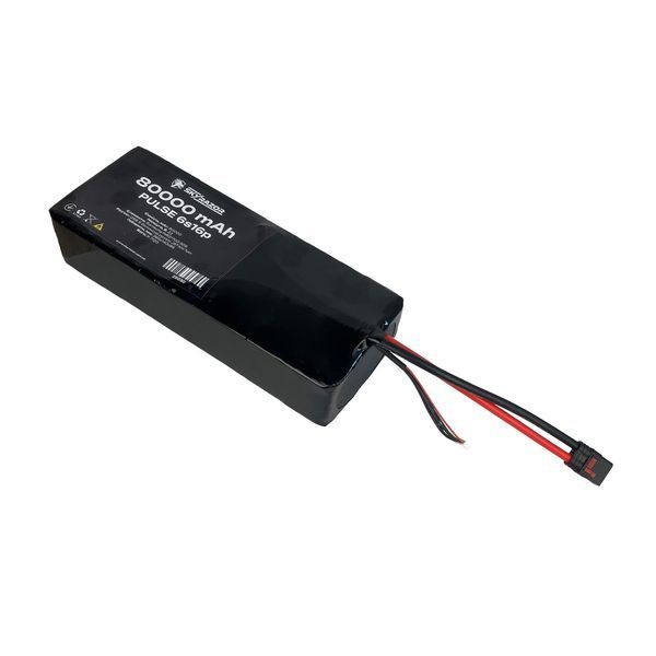 Акумуляторна батарея Li-ion Skyrazor PULSE 6s16p Molicel P50B 80000 mAh спарка INR21700 BV-002323-1 фото