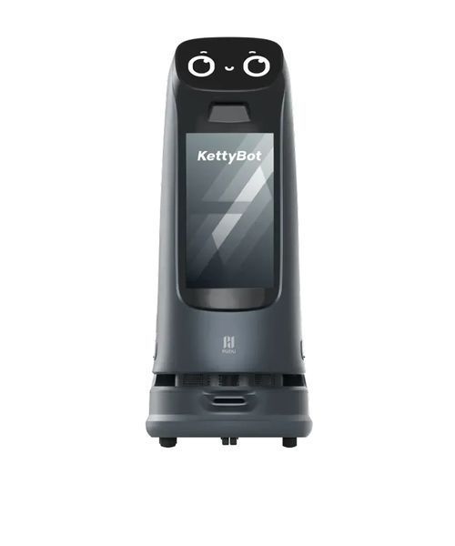 Робот-ресепшионист PUDU KettyBot Pro Белый BV-002396-1 фото