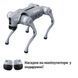 Робо-собака Unitree Go2 Air Package